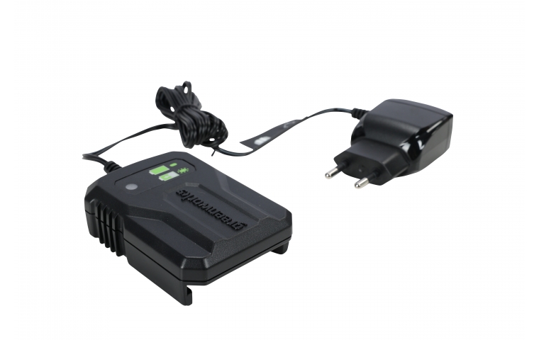 Зарядное устройство Greenworks G40UCM2M 40В